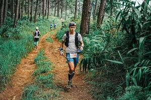 BIB: 
                            <button type="button" onclick="openModal(25664242)" class="btn btn-primary btn-sm float-right btn-popup" data-toggle="modal" data-target=".modal-high-quality">
                        <i class="fas fa-shopping-cart"></i> Add to Cart
                    </button>
                                            <button type="button" onclick="isThisMe(25664242, true)" class="btn btn-success btn-sm float-right btn-popup btn-isme hidden" data-toggle="tooltip" data-placement="bottom" title="นี่คือรูปของคุณใช่ไหม คลิกที่นี่เพื่อเอาเข้าอัลบั้ม">
                        <i class="fas fa-plus"></i> Add to album
                    </button>
                    <button type="button" onclick="isThisMe(25664242, false)" class="btn btn-warning btn-sm float-right btn-popup btn-isnotme hidden">
                        <i class="fas fa-ban"></i> Remove from album
                    </button>